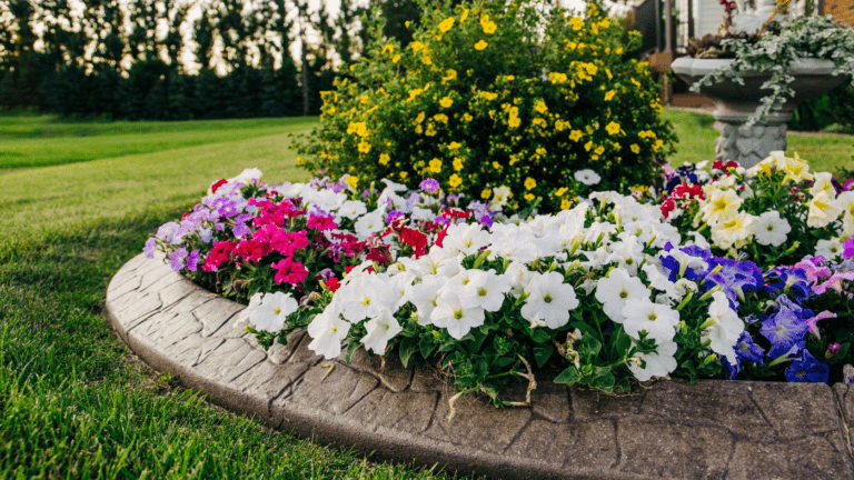 A colorful assortment of flowers blooming on a garden bed, surrounded by green grass and trees, bathed in warm sunlight.