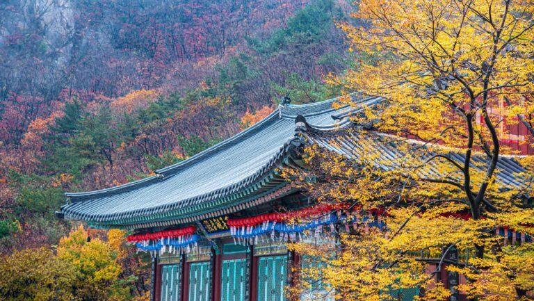 Top Reasons to Visit South Korea in 2023